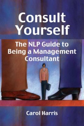 Picture of Consult Yourself - Paperback Edition