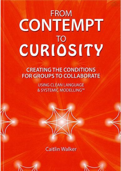 Picture of From Contempt to Curiosity: Creating the Conditions for Groups to Collaborate Using Clean Language and Systemic Modelling