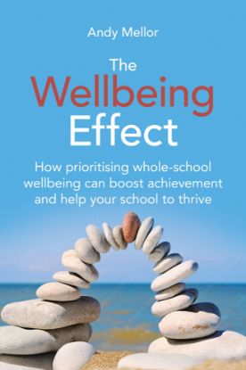 Picture of The Wellbeing Effect